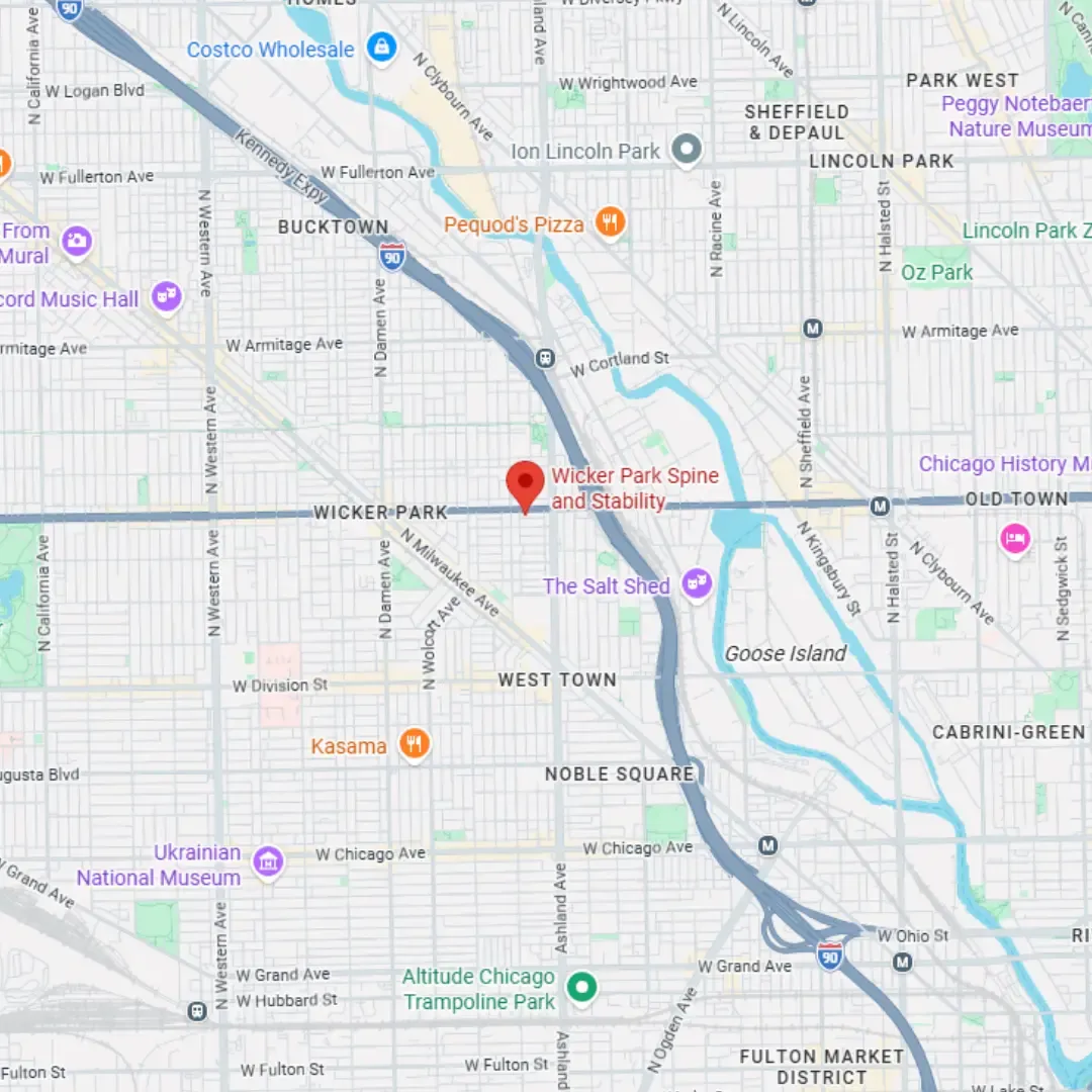 Wicker Park Spine & Stability map
