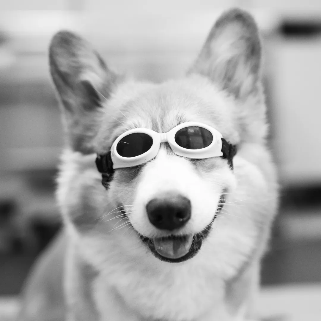 Laser Therapy