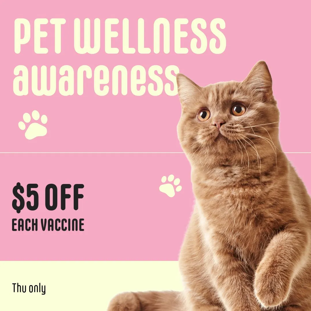 pet-wellness-awareness-Thursday-Only