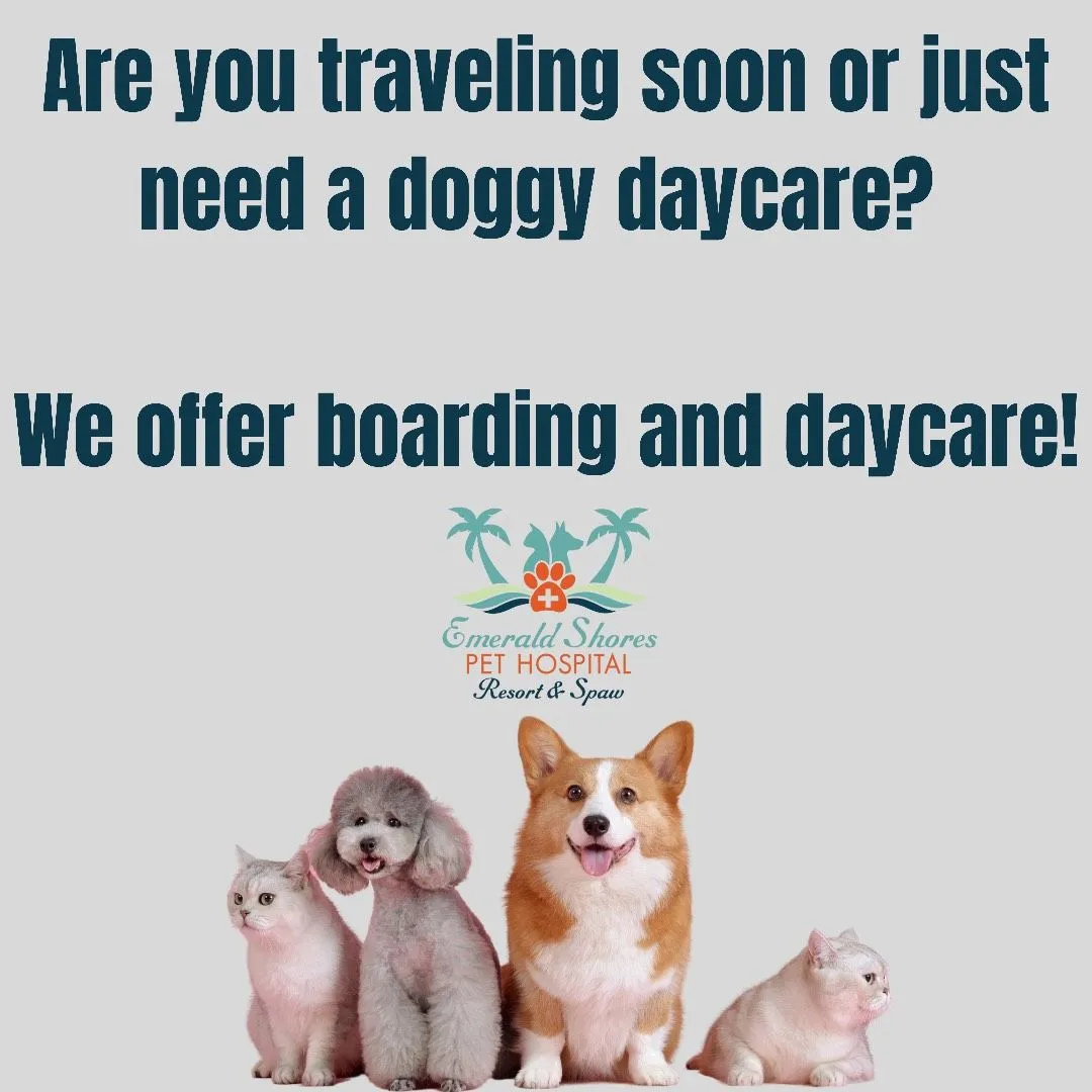 Emerald Shores Pet Hospital Resort & Spaw 