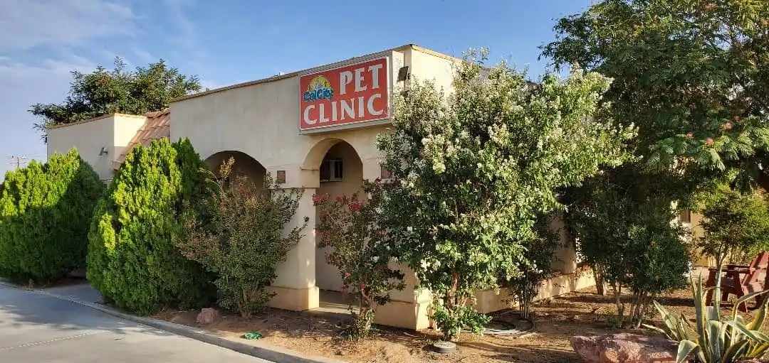 CalCity Pet Clinic