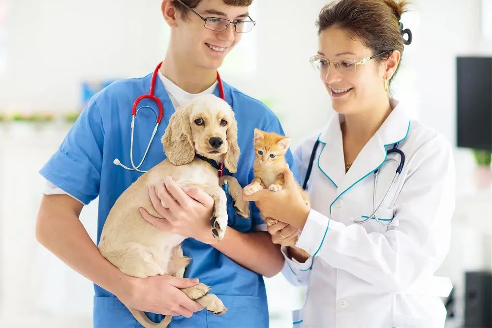 vets with a puppy and kitten
