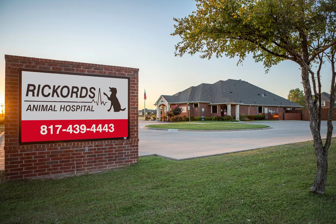 Sign Building