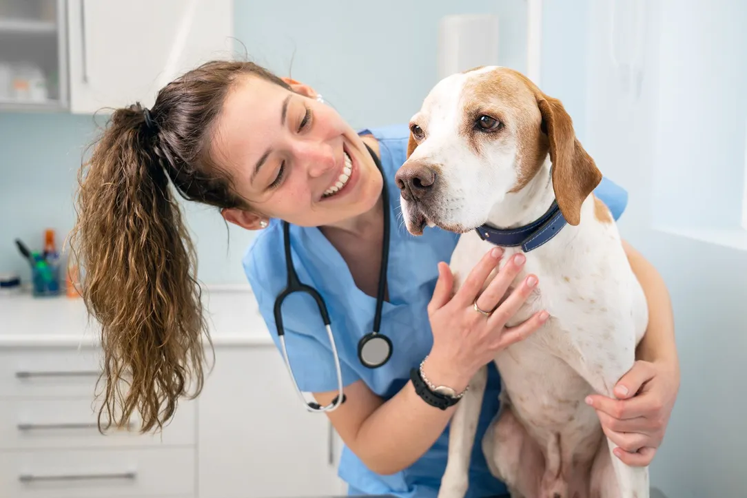 female vet with a dog