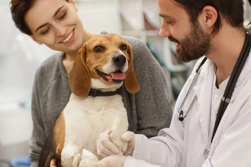 Veterinary Care
