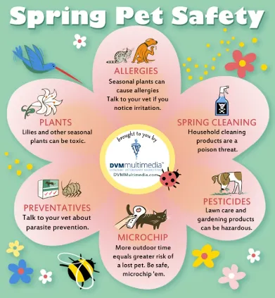 Spring Safety