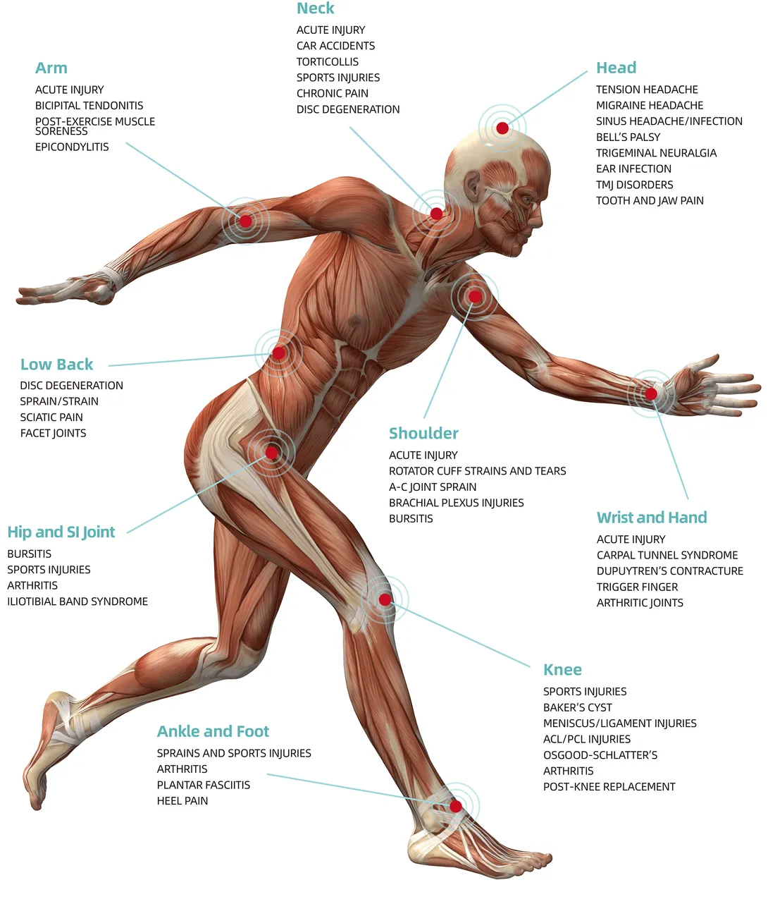 Laser treatment Body Diagram 