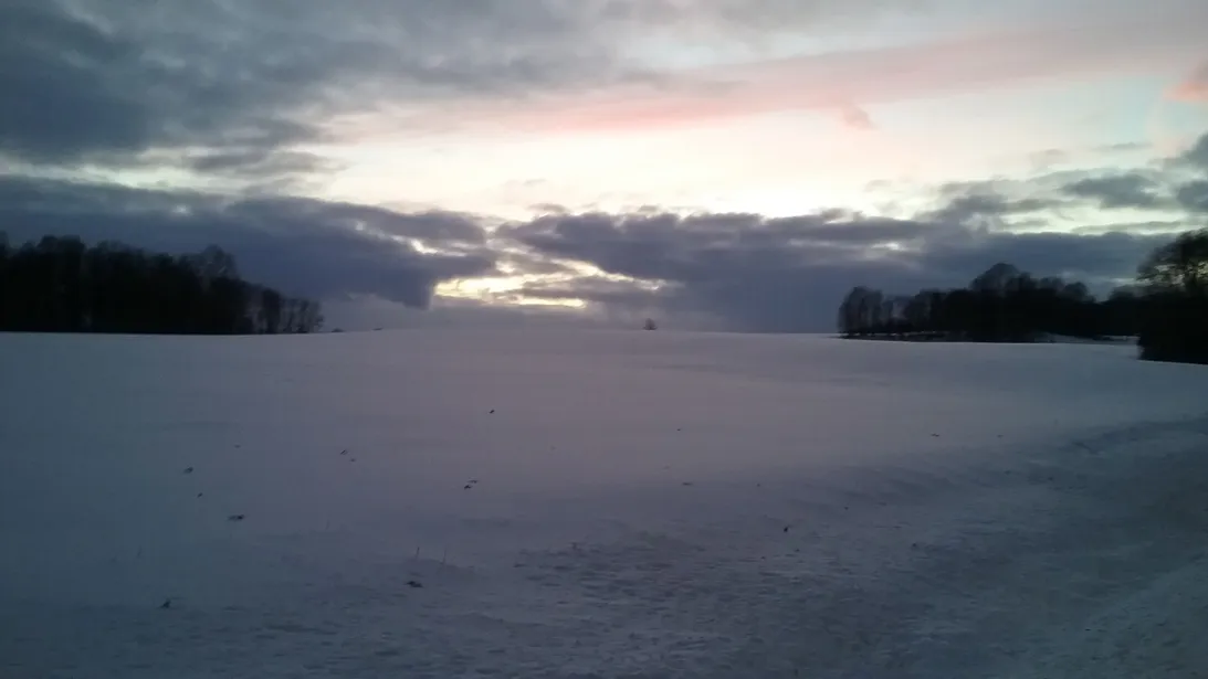 Snowy Field