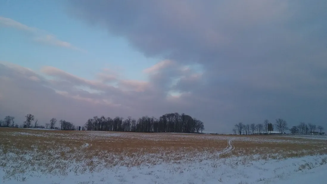 Snowy Field