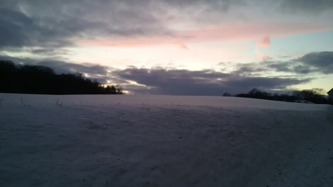 Snowy Field