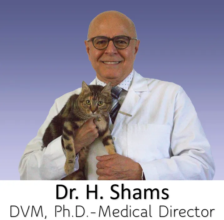 Dr. Shams