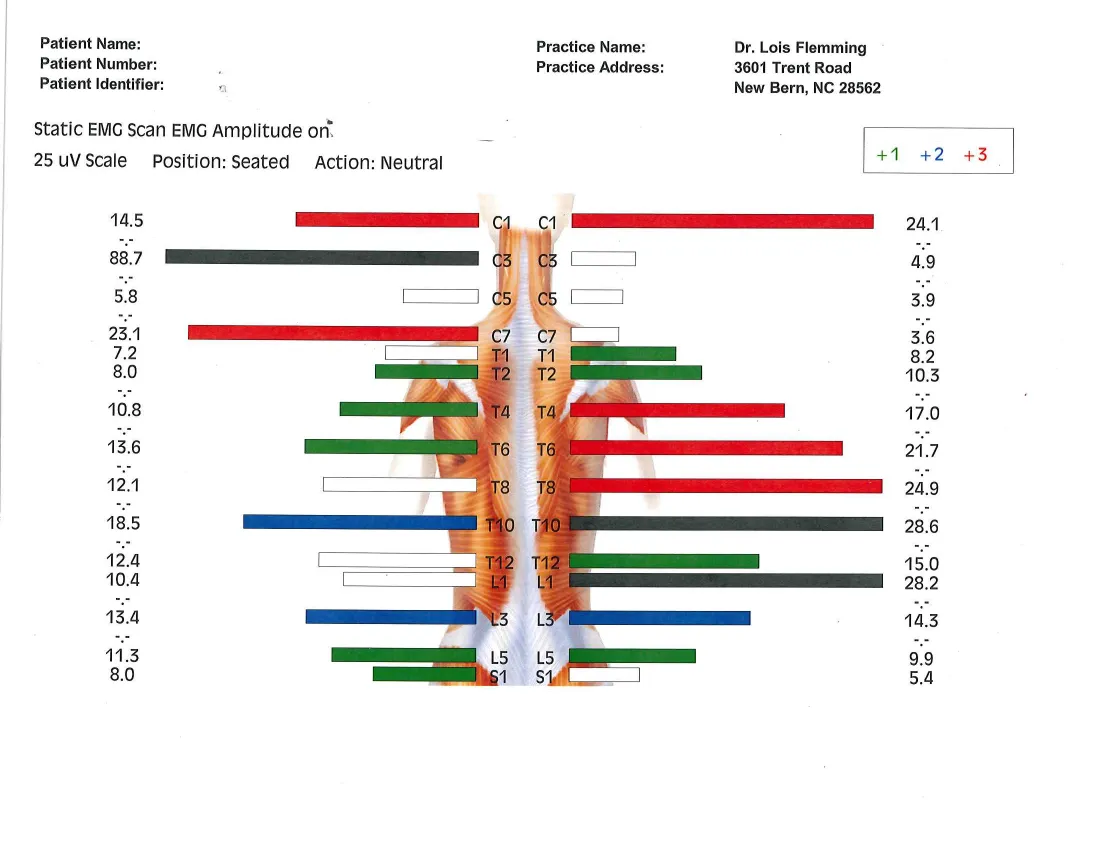 EMG Scan Image 2