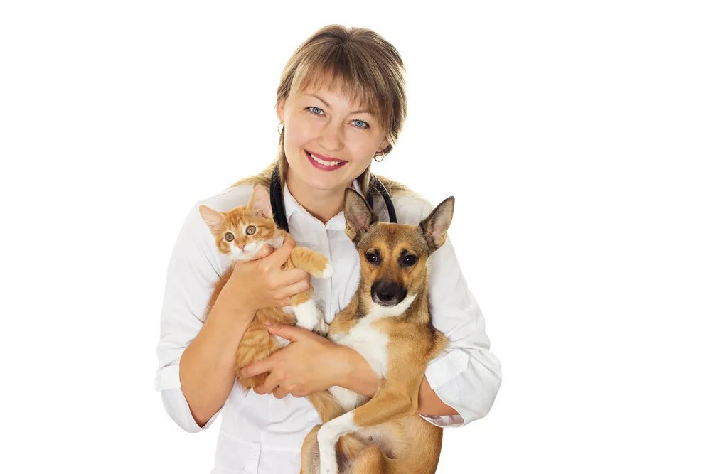 puppy and kitten held by vet