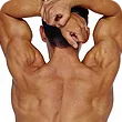 A muscular man's back with his hands over his head.