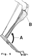 slide13.gif