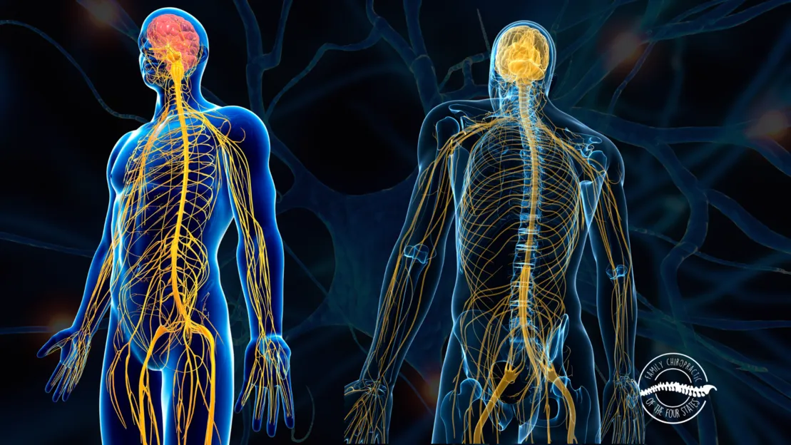 Neuropathy Patients Find Relief with Dr. McDaniel's Treatment Programs Chiropractor in Joplin Missouri