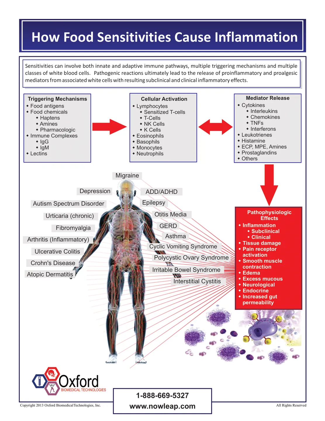 food sensitivity test