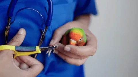 How do I know if my bird needs a beak or nail trim?