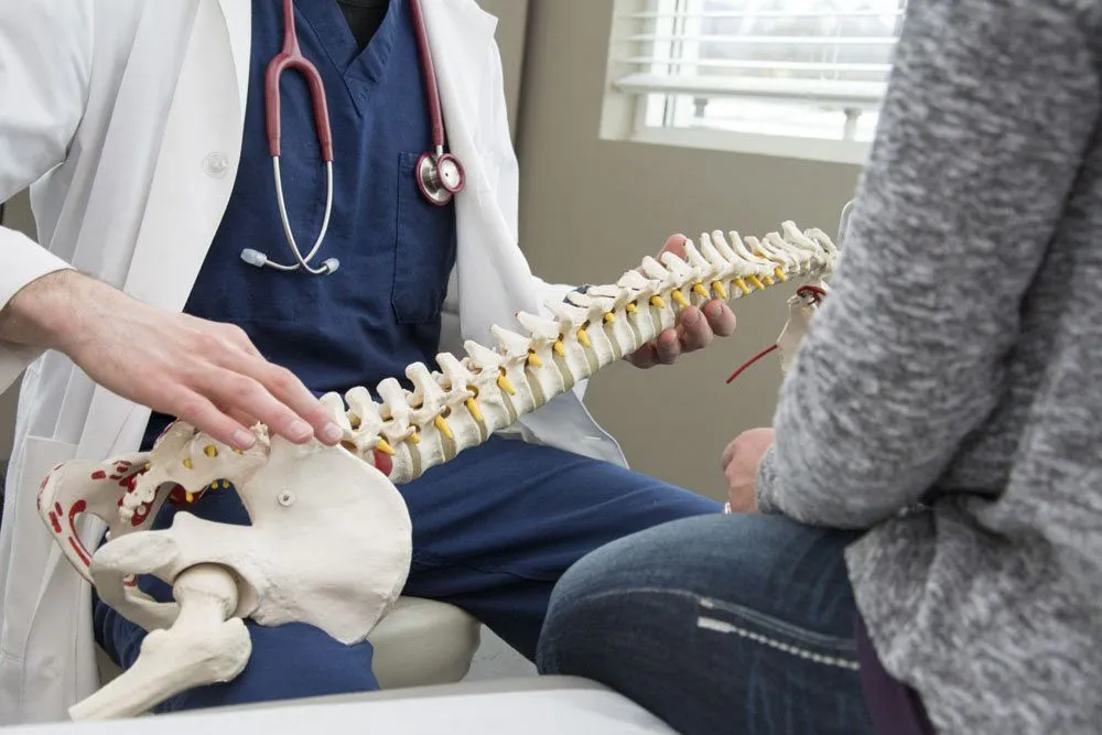 doctor showing spine model to a patient