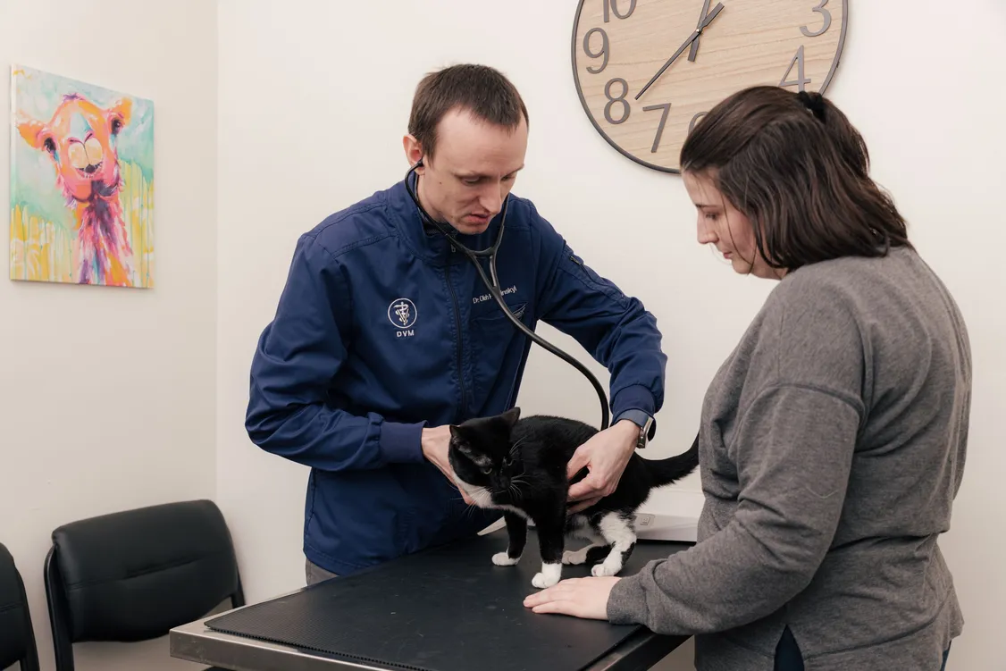 Comprehensive Vet Care