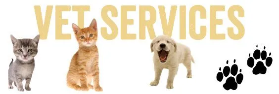 OC Vet Services