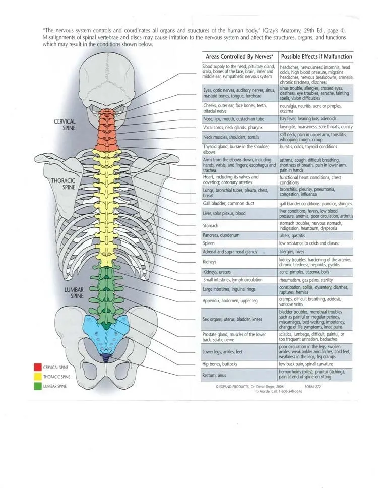 Vernon Chiropractor | Vernon chiropractic What Is Chiropractic | TX |