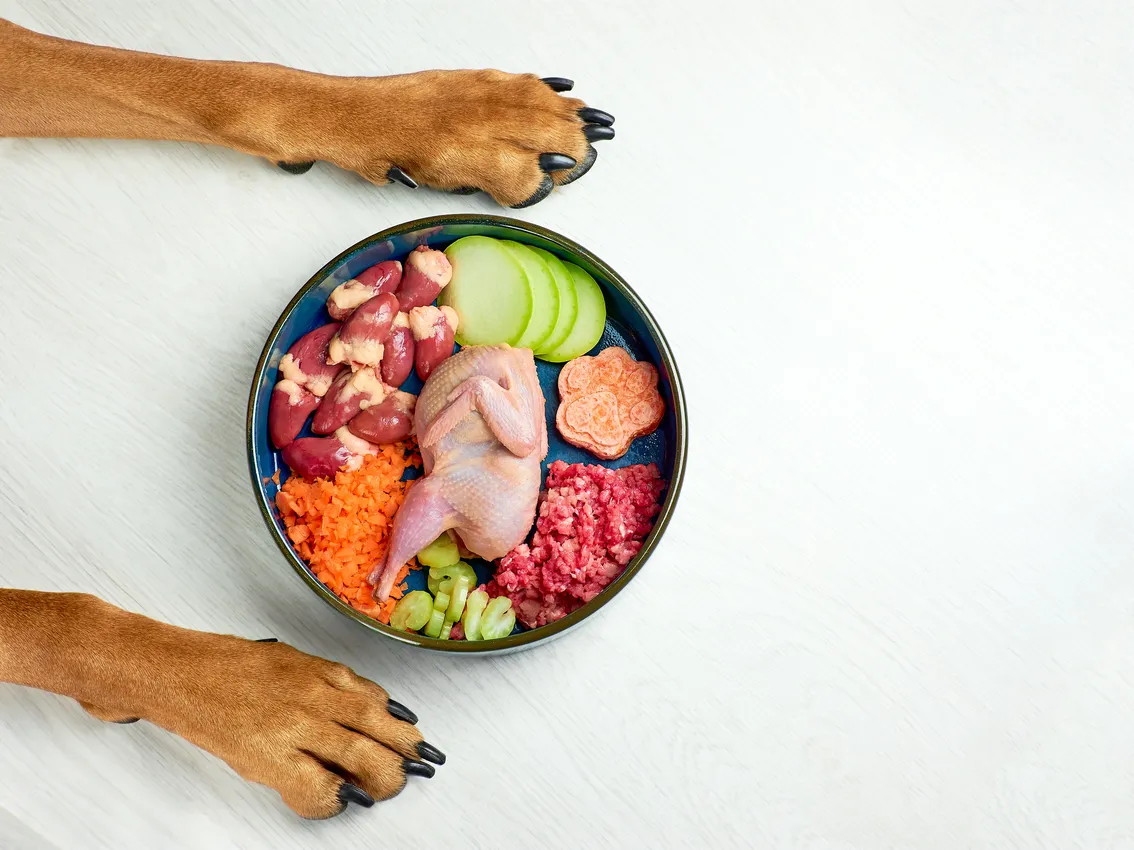 nutrition for pets