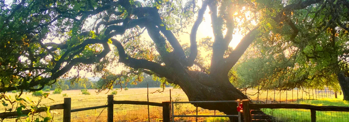 ​Hill Country Mind and Wellness Center has closed its doors.​