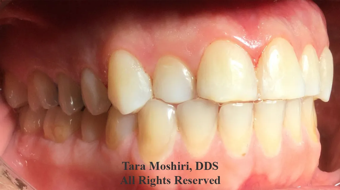 Artiste Dentistry LLC: Tara Moshiri, DDS