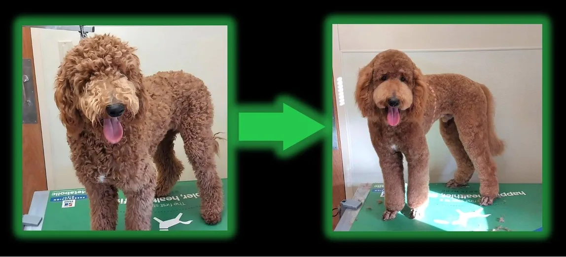 Brady Before and After