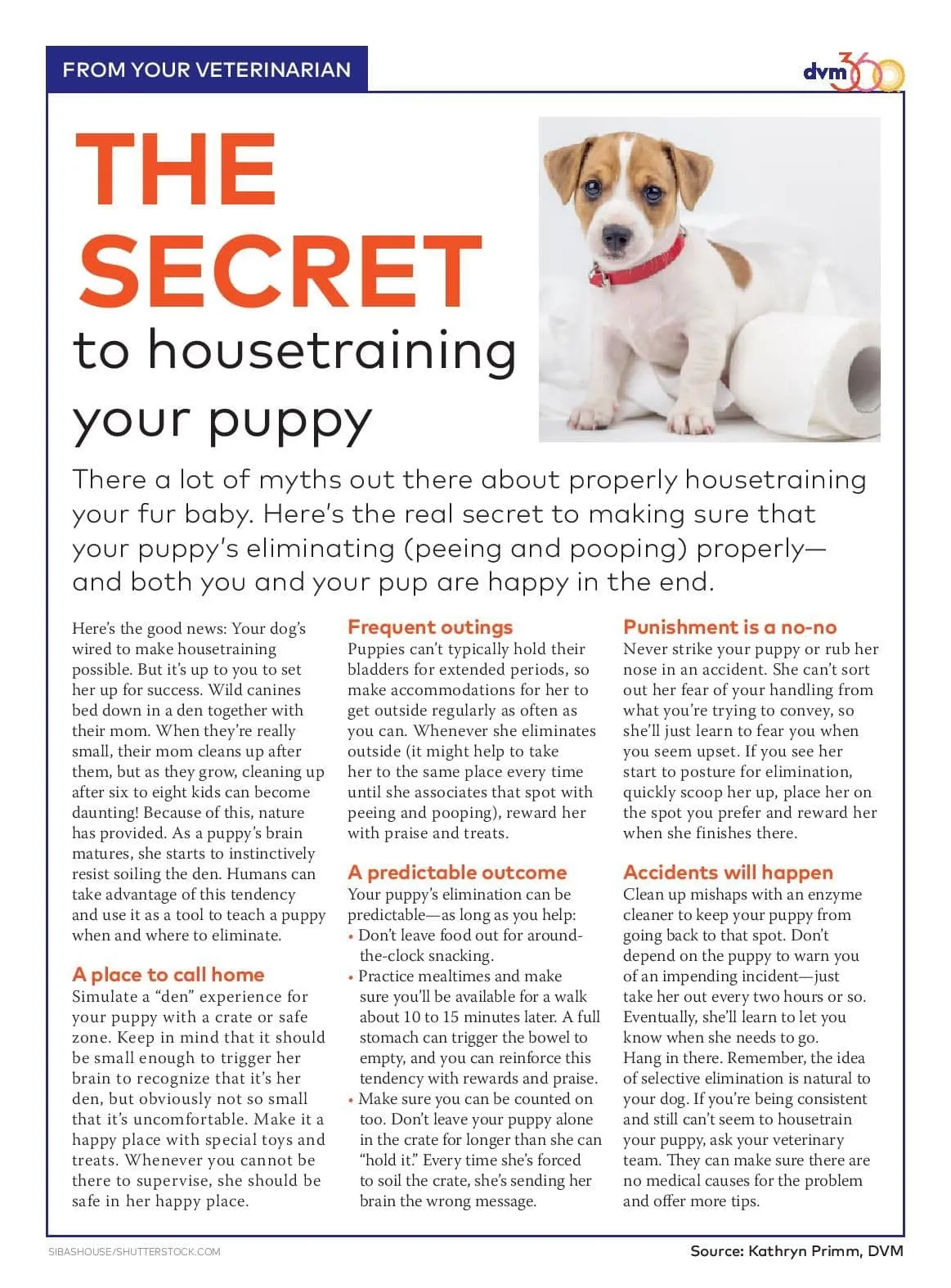 Housetraining Your Puppy