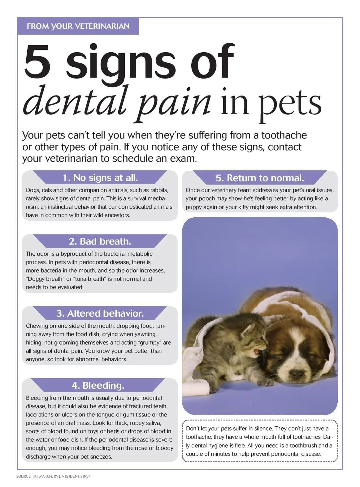 Dental Pain in Pets