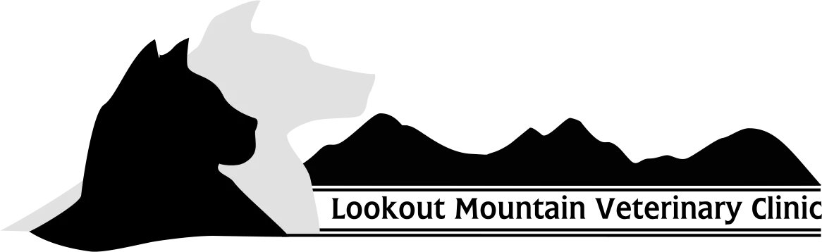 Lookout Mountain Veterinary Clinic