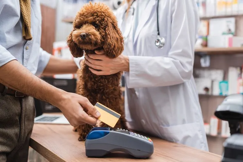 making payment for veterinary services