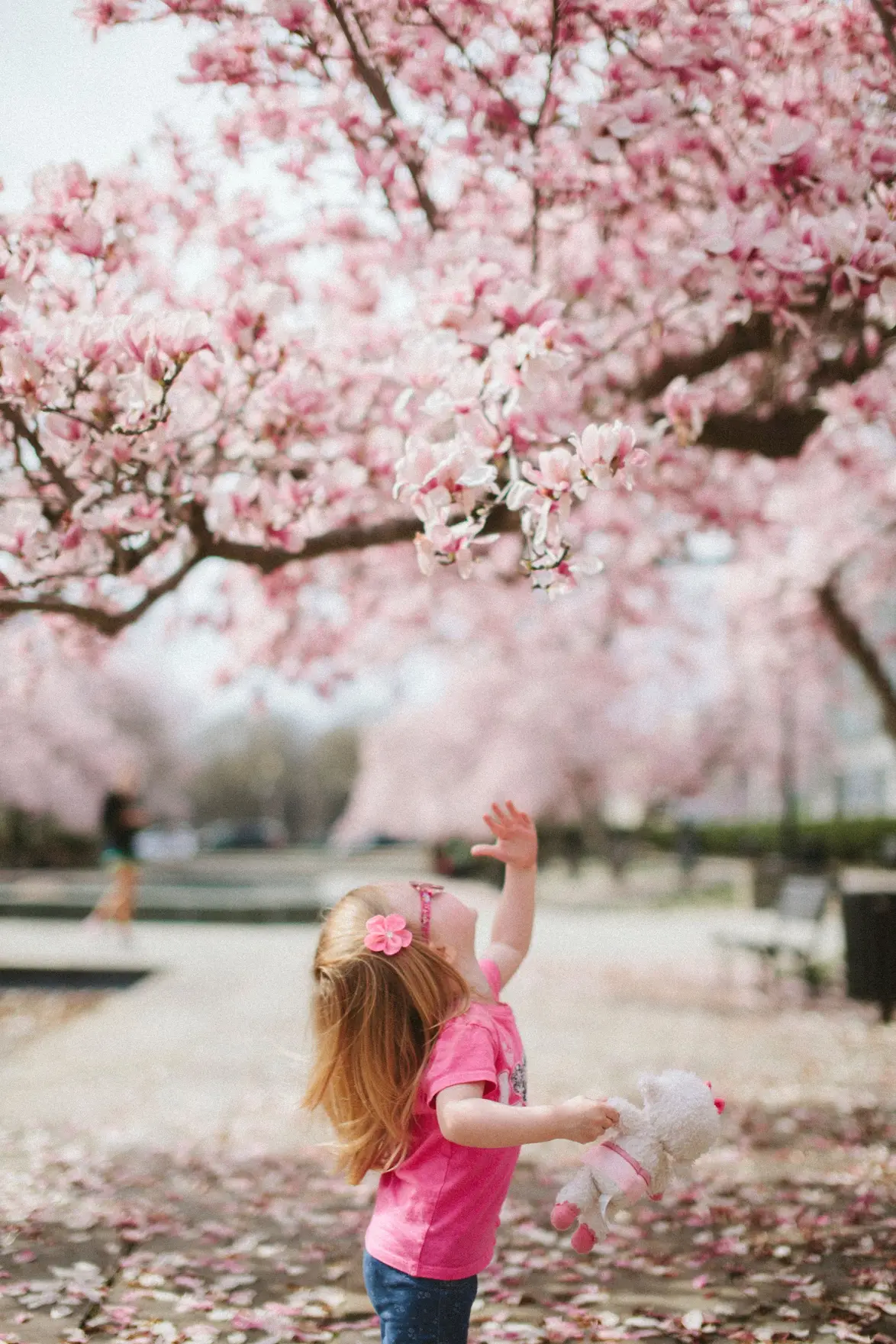 girl picking cherry blossoms