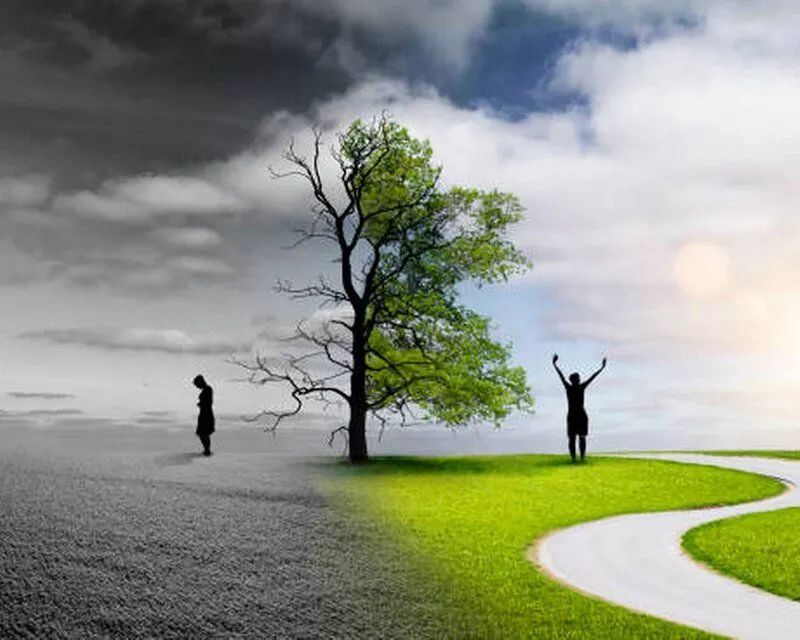 path in light and dark