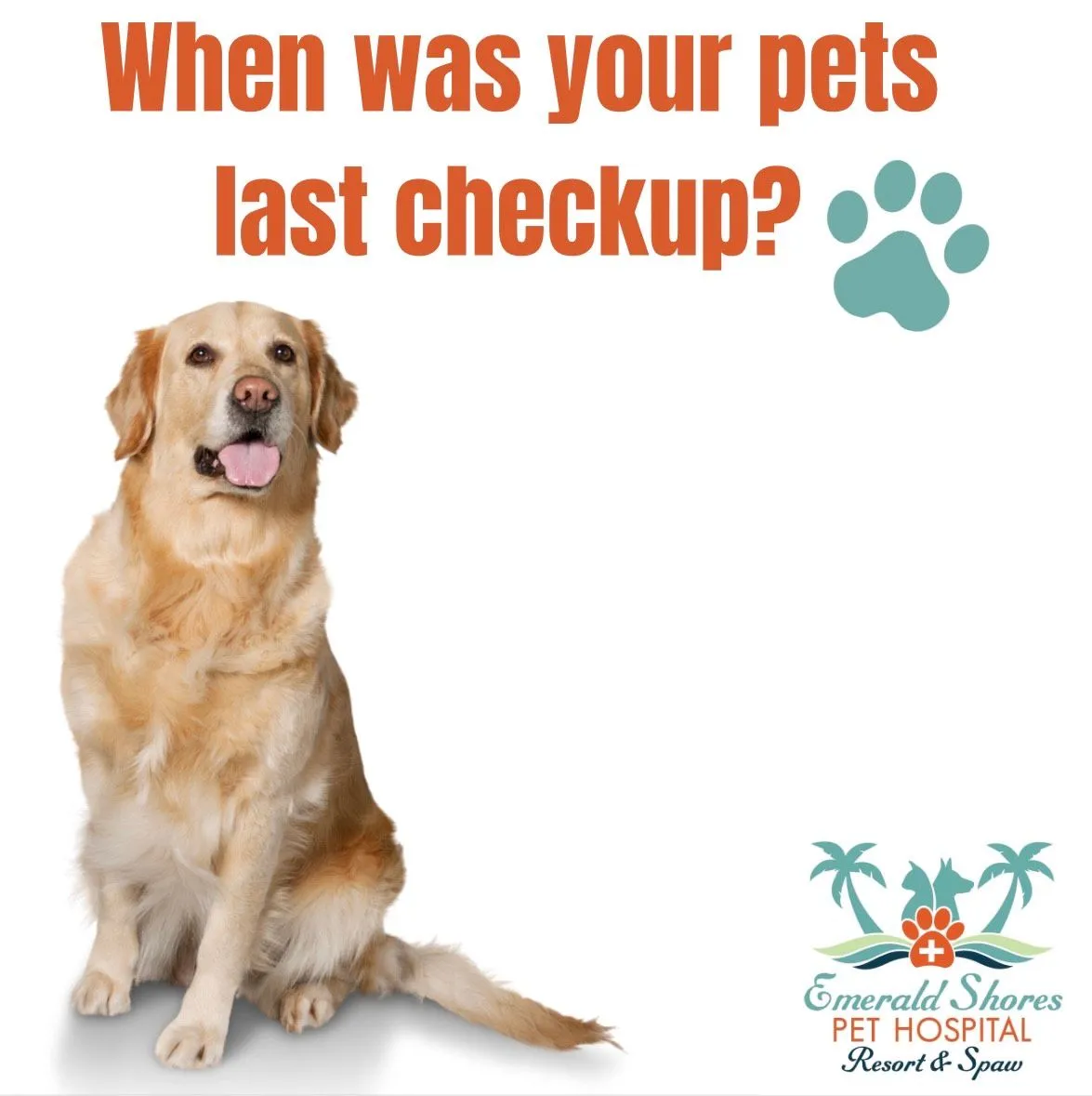 Emerald Shores Pet Hospital Resort & Spaw 