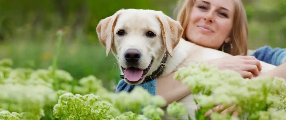 owner hugging dog in reisterstown