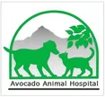 Avocado Animal Hospital