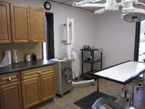 Pet Orthopedic Surgery 