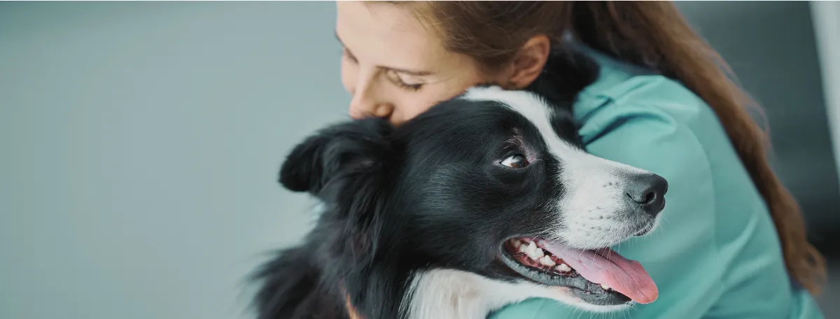 female vet with black and white dog