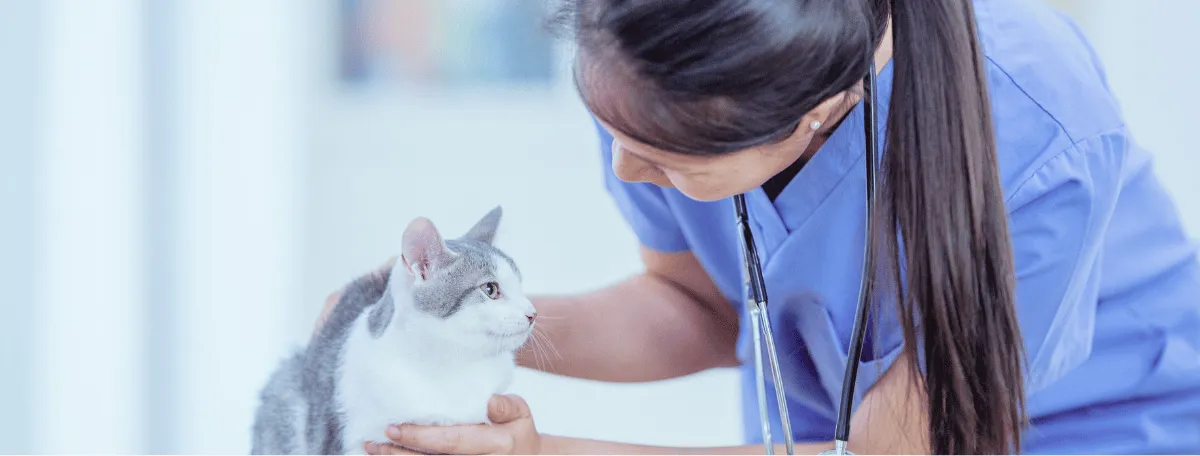 cat with vet technician