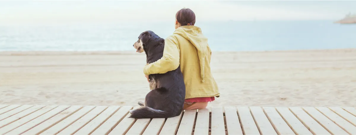 dog with owner on beach