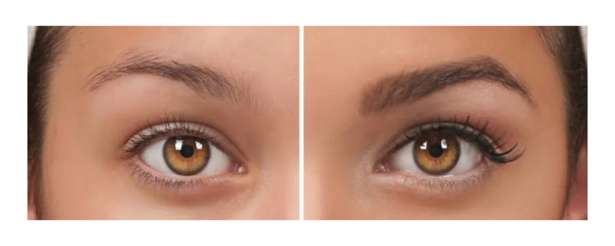 Brow Tint & Lash Tint