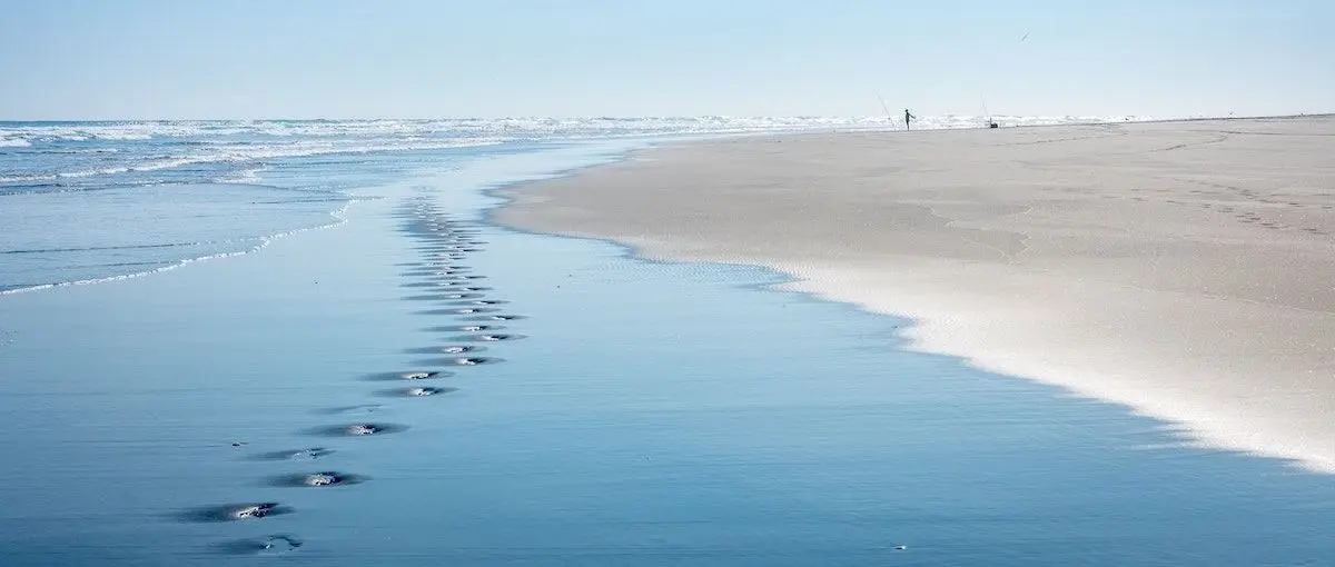 footprints on the beach