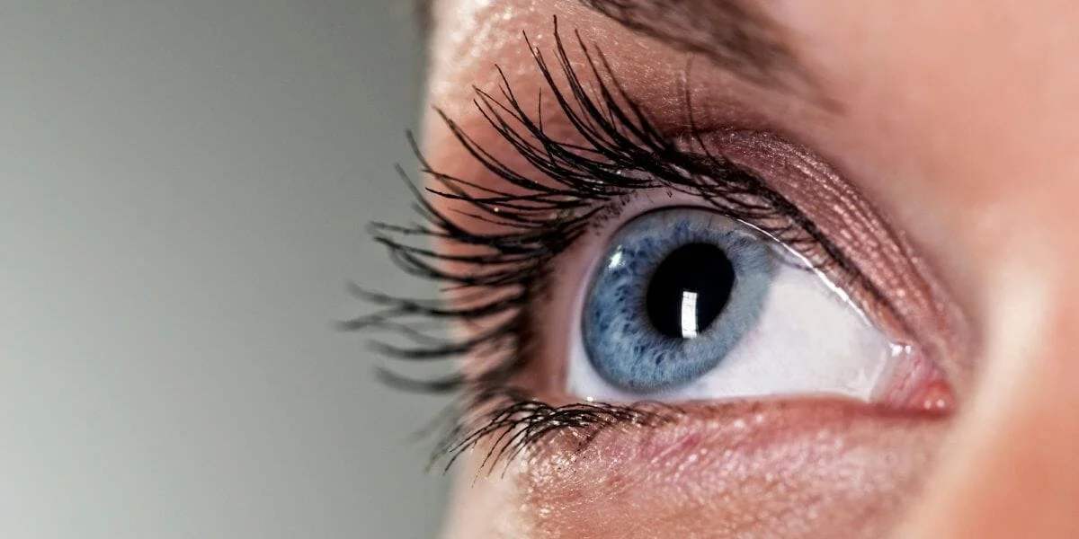 Embryonic Stem Cells Can Heal Your Damaged Cornea