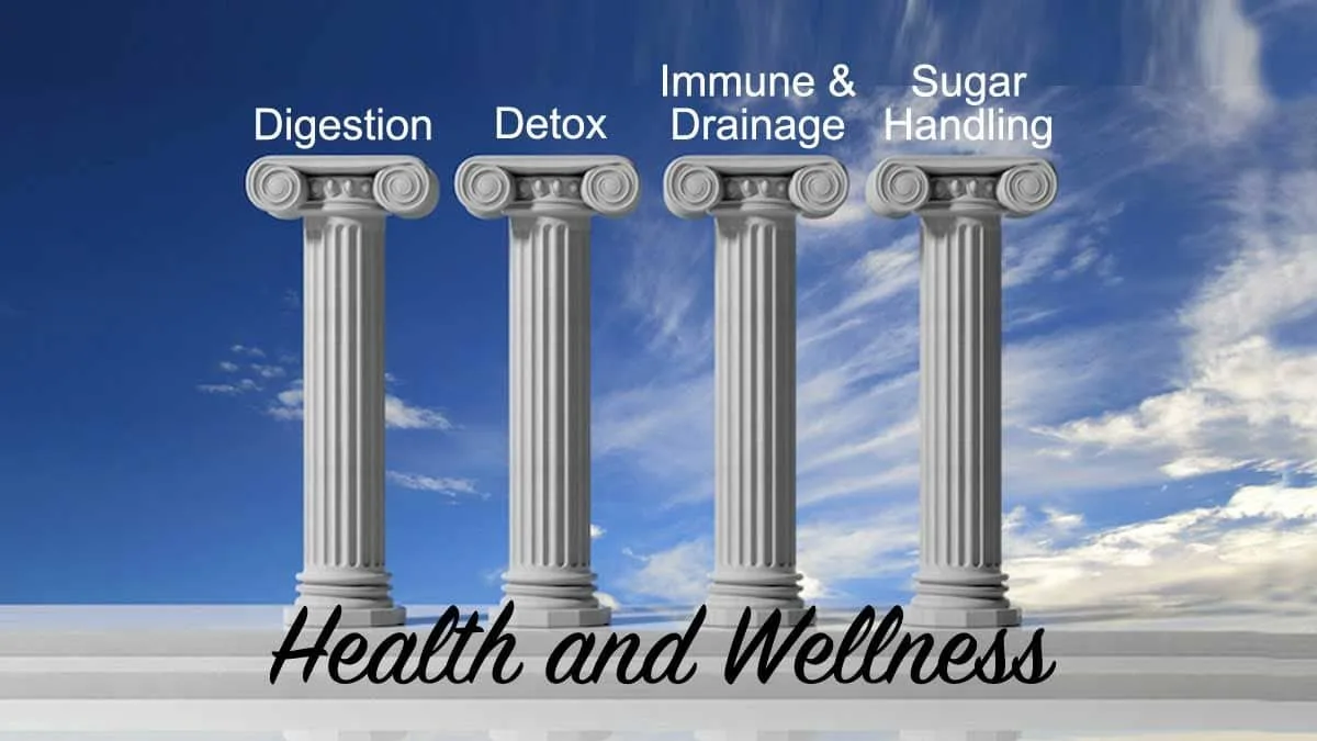 The Four Pillars of Health: Naturopathic Wellness Focus