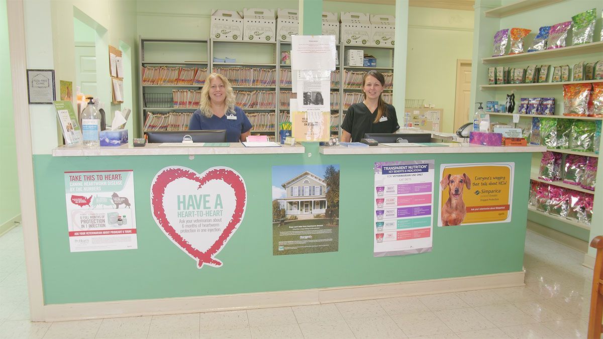 Ruckersville Veterinary Animal Hospital Dr. Chip Godine