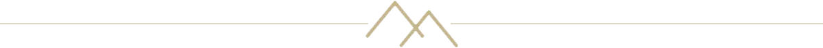 logo-icon-divider