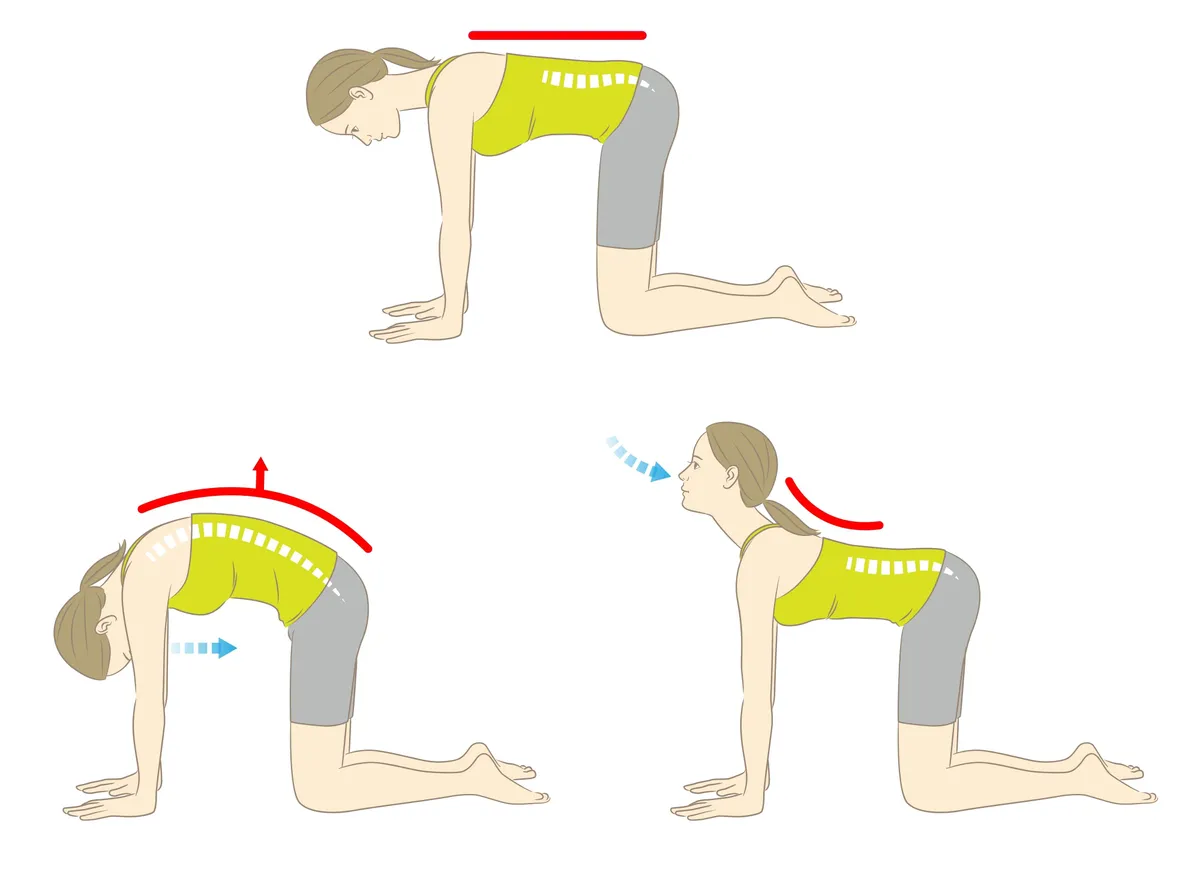 morning_stretching_routine